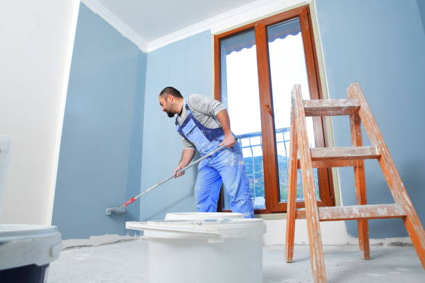 Best Flood Damage  in Royal Palm Estates, FL