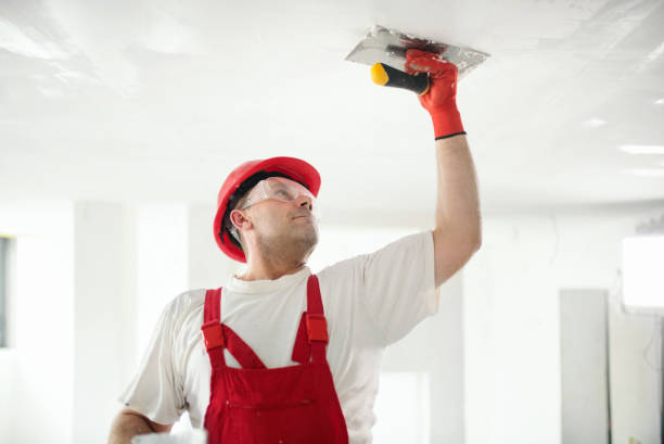Best Basement Mold Removal  in Royal Palm Estates, FL
