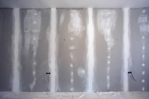  Royal Palm Estates, FL Mold Removal Pros